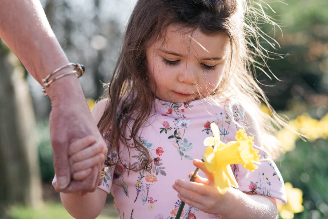 A young girl holds and looks at a freshly picked daffodil while holding her grannies hand